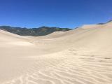 Great Sand Dunes 039